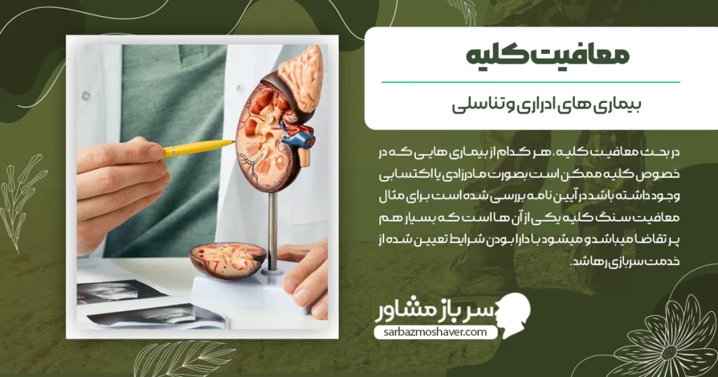 شرایط گرفتن معافیت کلیه + بیماری های مختلف کلیه