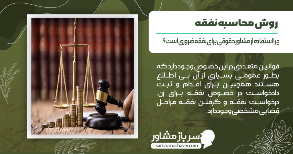 چرا استفاده از مشاور حقوقی برای نفقه ضروری است؟